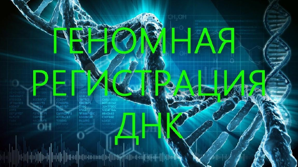 С 1 января 2025 года лица, подвергнутые административному аресту, подлежат обязательной государственной геномной регистрации