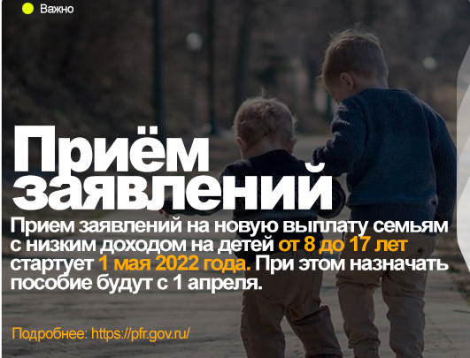 Прием заявлений на новые пособия семьям с детьми от 8 до 17 лет начнется с 1 мая