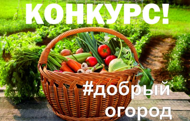 Стать агроволонтёрами и принять участие в конкурсе "Добрый огород" могут жители Кабардино-Балкарии