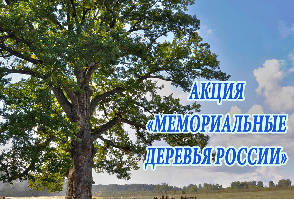  Акция «Мемориальные деревья России»