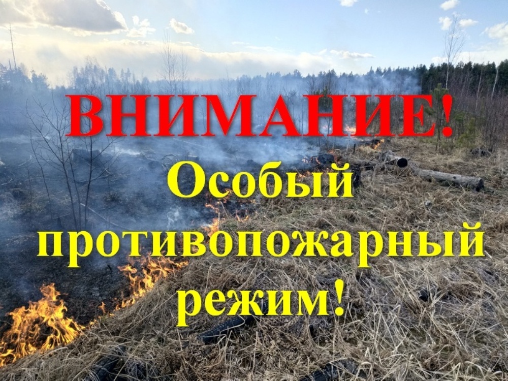 На территории КБР введен особый противопожарный режим